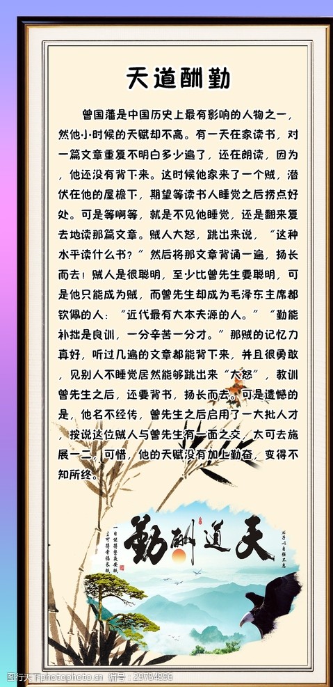 青春励志故事：正能量与四季风的温暖书写